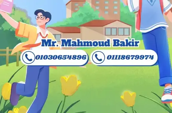 مستر محمود بكير