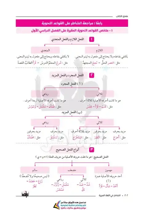 مراجعة نحو اولى اعدادي ترم اول 2026 بالاجابات كتاب الشاطر 