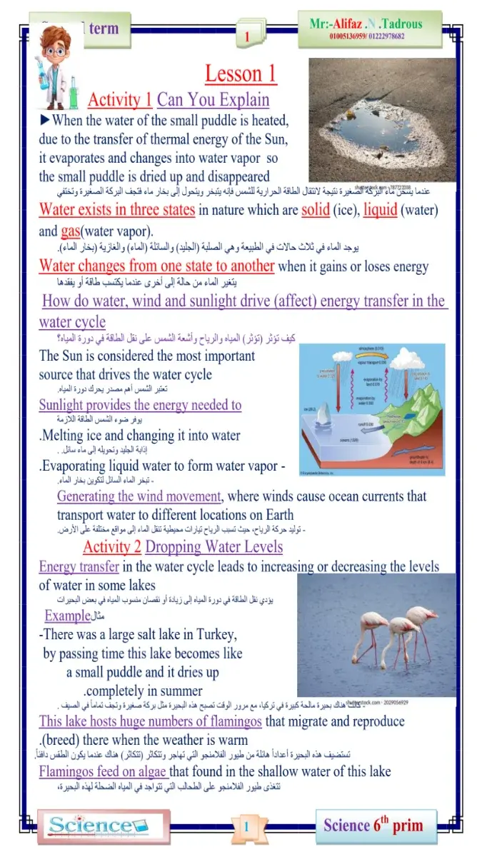 مذكرة شرح وتدريبات Science للصف السادس الابتدائي الترم الثاني 2026 بصيغة PDF مع الإجابات، 91 صفحة وحجم 9 ميجا.