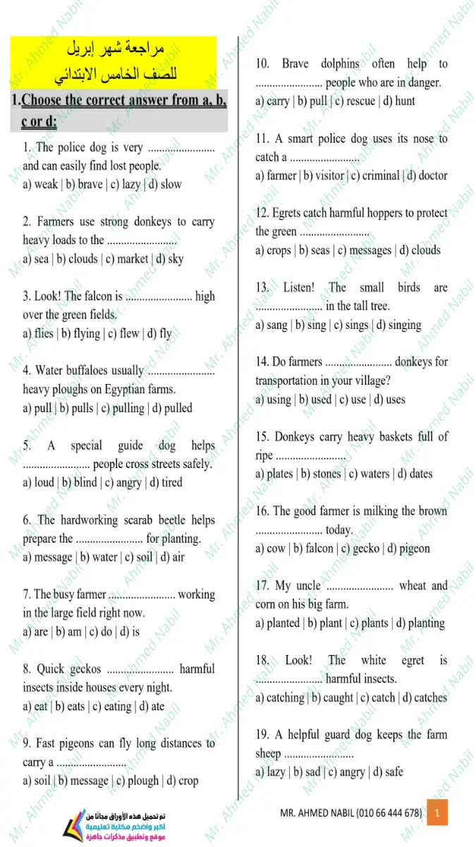 صورة غلاف مراجعة اللغة الانجليزية لشهر ابريل 2026 للصف الخامس الابتدائي بالإجابات