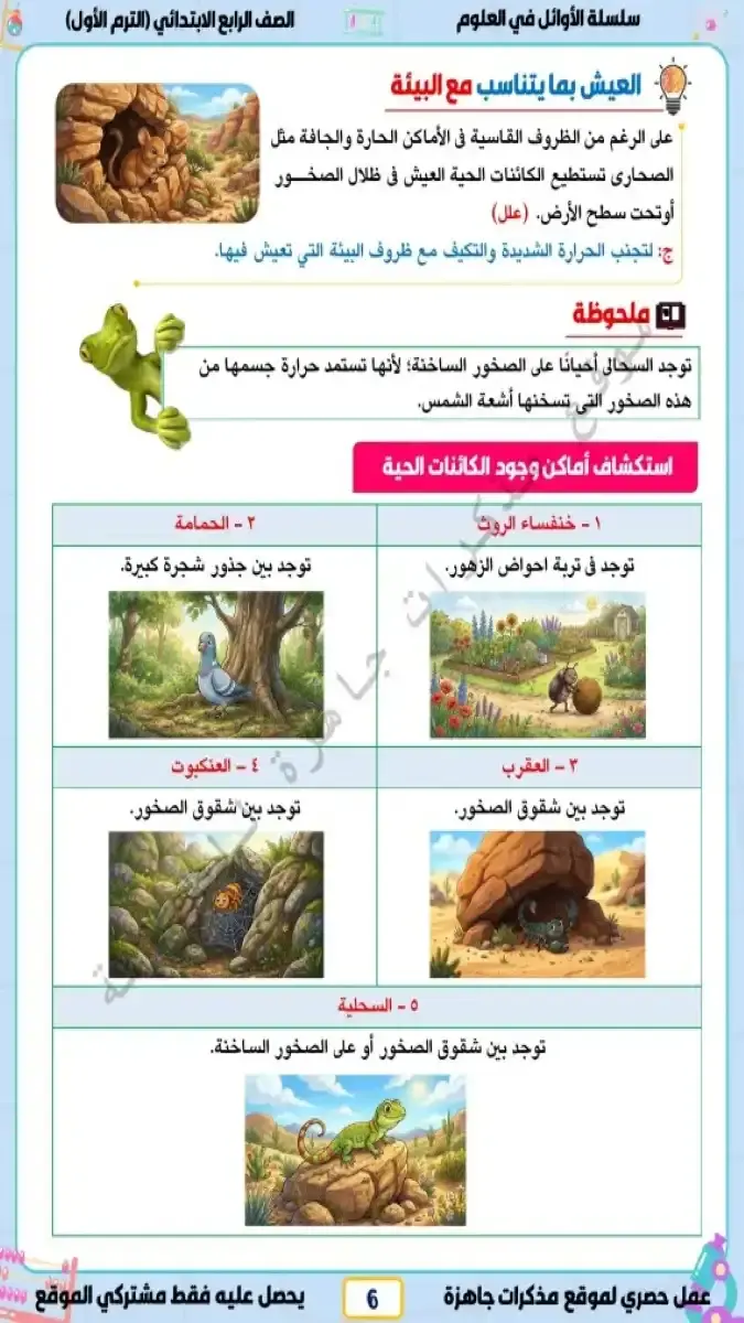 صورة غلاف مذكرة العلوم للصف الرابع الابتدائي الترم الاول 2027