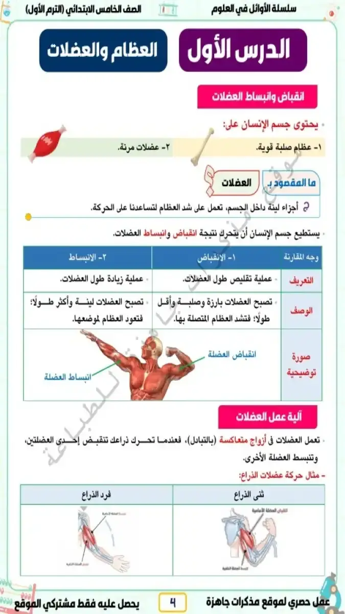 صورة غلاف مذكرة العلوم للصف الخامس الابتدائي الترم الاول 2027