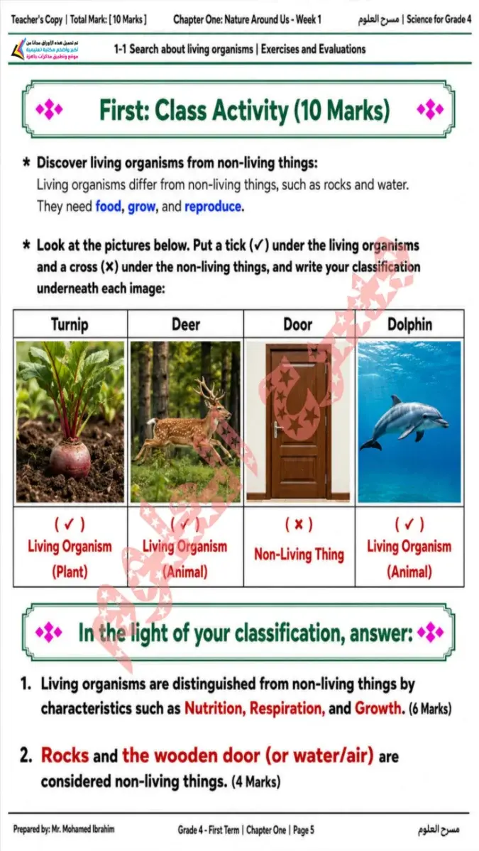 صورة غلاف حل كتاب التقييمات Science للصف الرابع الابتدائي الترم الاول 2027