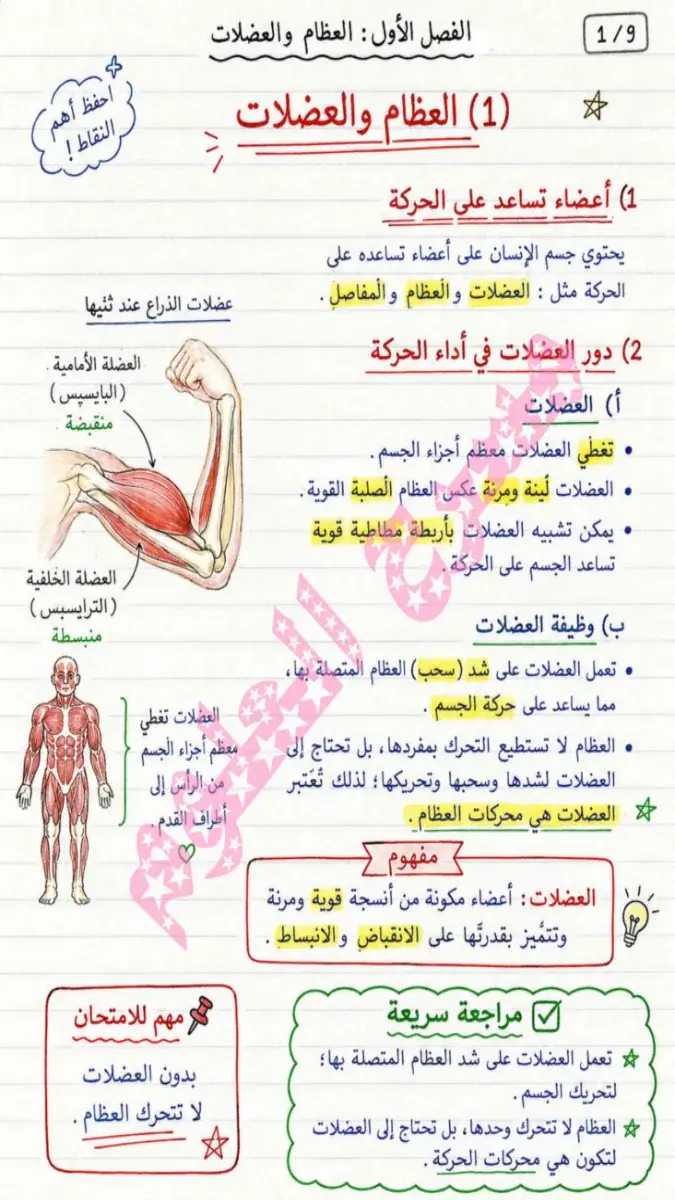 صورة غلاف مذكرة العلوم للصف الخامس الابتدائي الترم الاول 2027