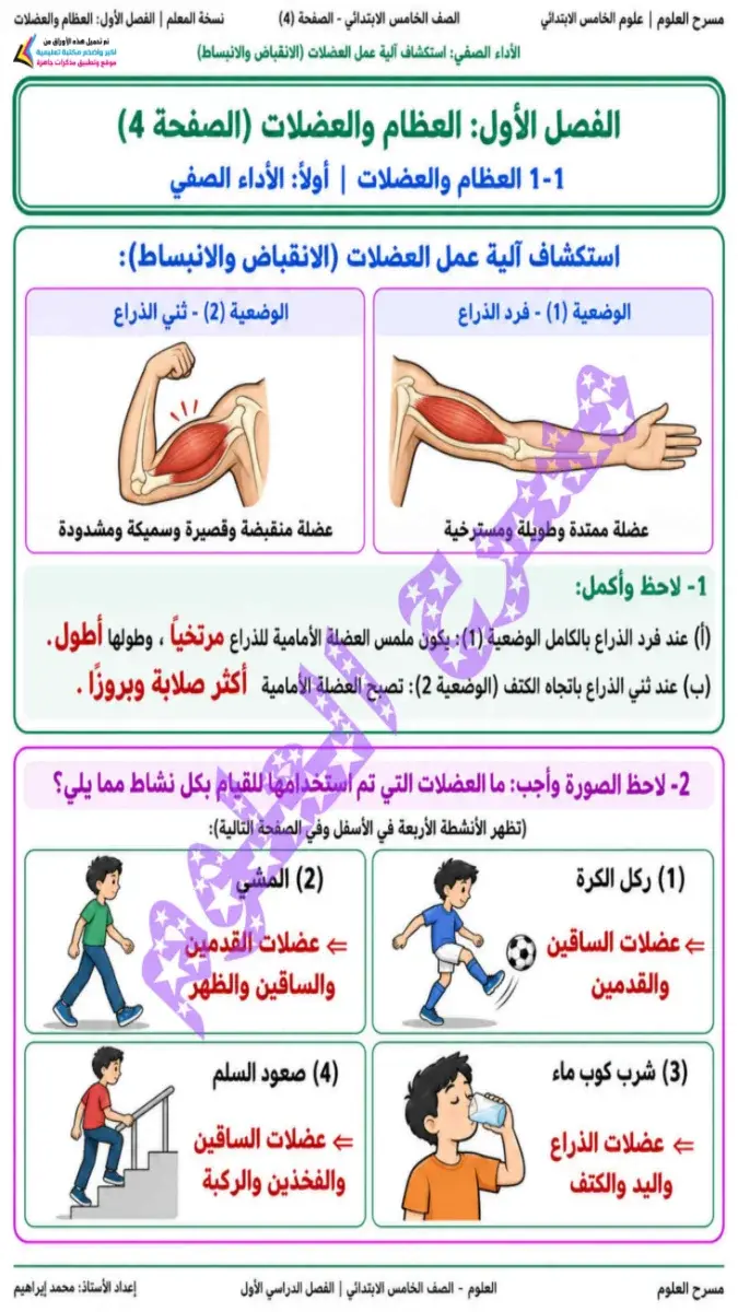 صورة غلاف كتاب التقييمات علوم للصف الخامس الابتدائي الترم الاول 2027