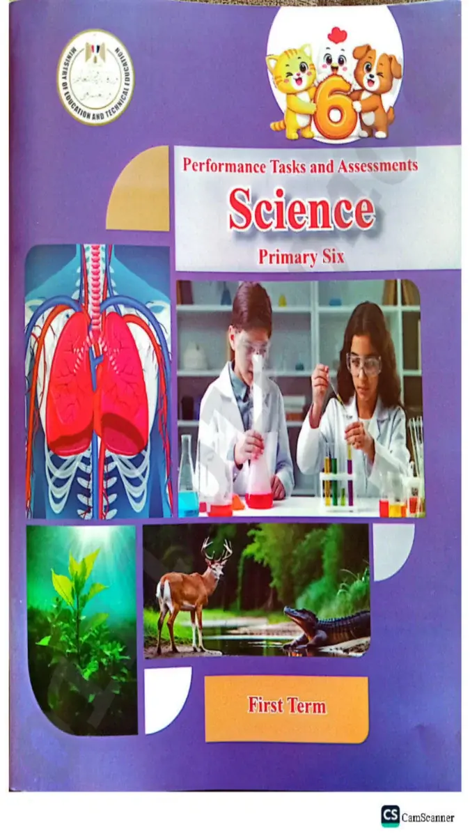 صورة غلاف حل كتاب التقييمات Science للصف السادس الابتدائي الترم الاول 2027