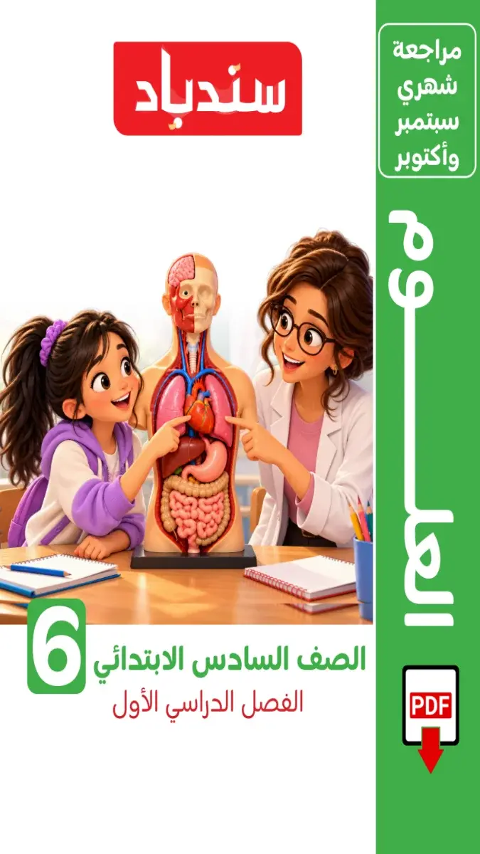 صورة غلاف مراجعة علوم شهر اكتوبر للصف السادس الابتدائي بالاجابات 2027