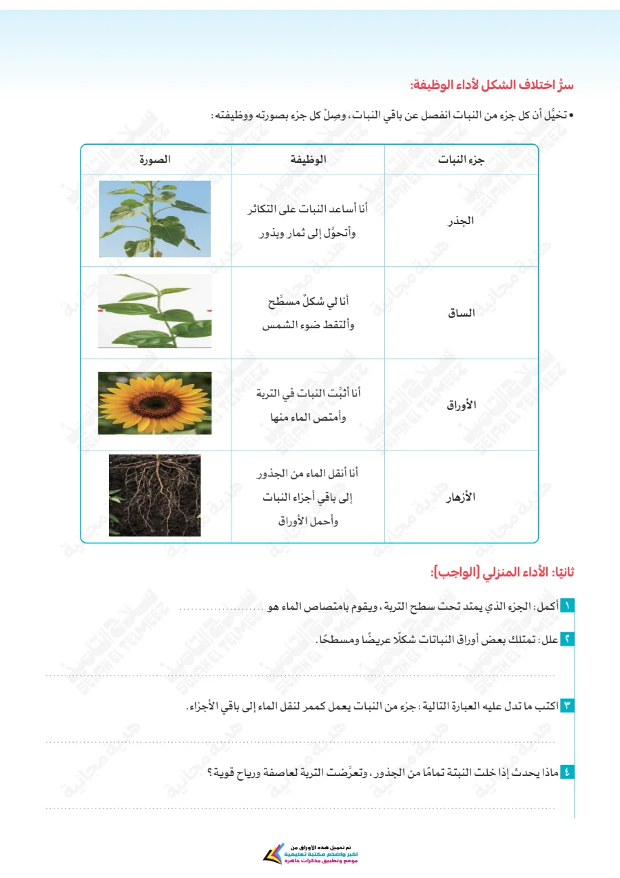 معاينة الصفحة 24 من تقييمات سلاح التلميذ علوم للصف الرابع الابتدائي الترم الاول PDF 2027 بالاجابات