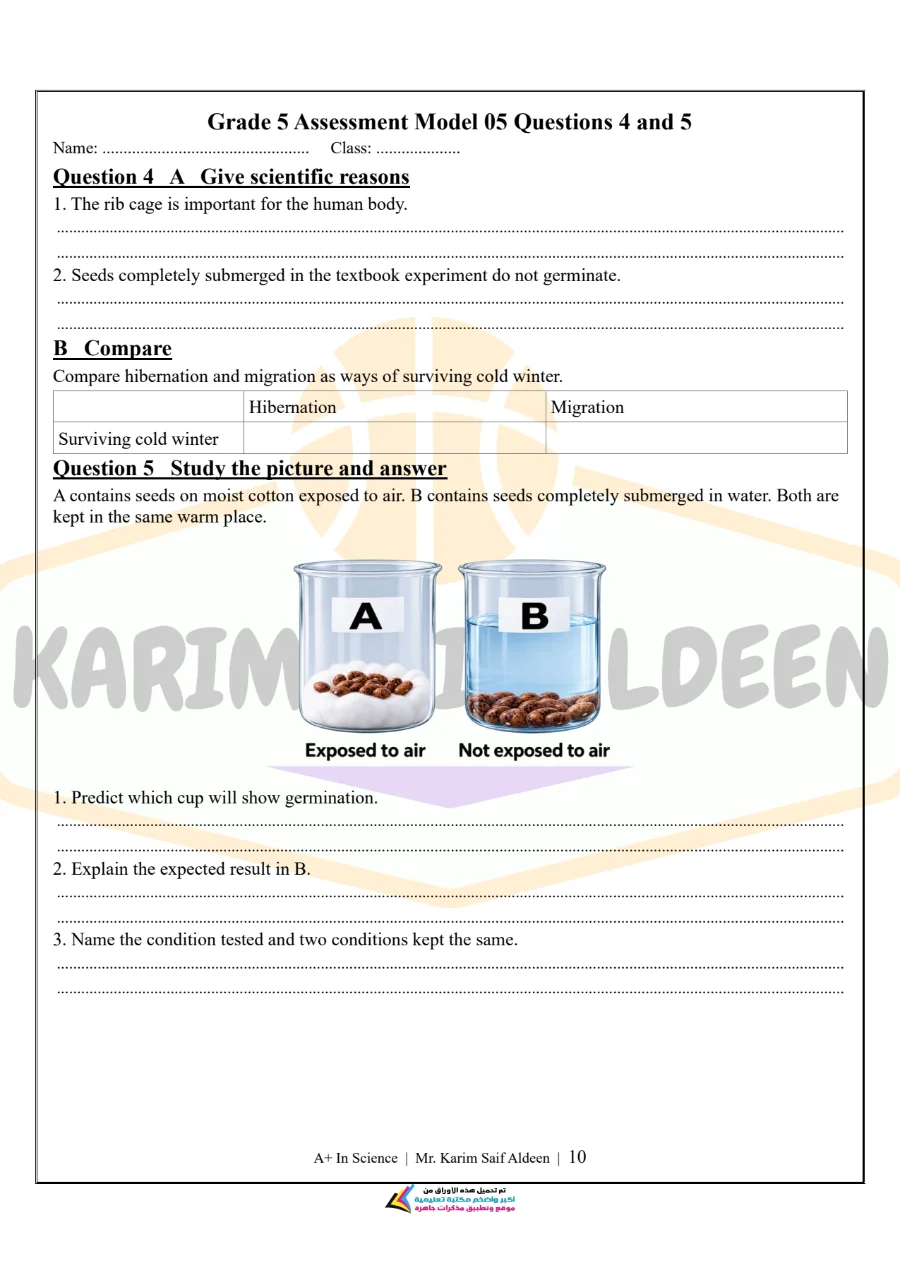 معاينة الصفحة 10 من نماذج اختبارات شهر اكتوبر Science للصف الخامس الابتدائي بالاجابات PDF 2027