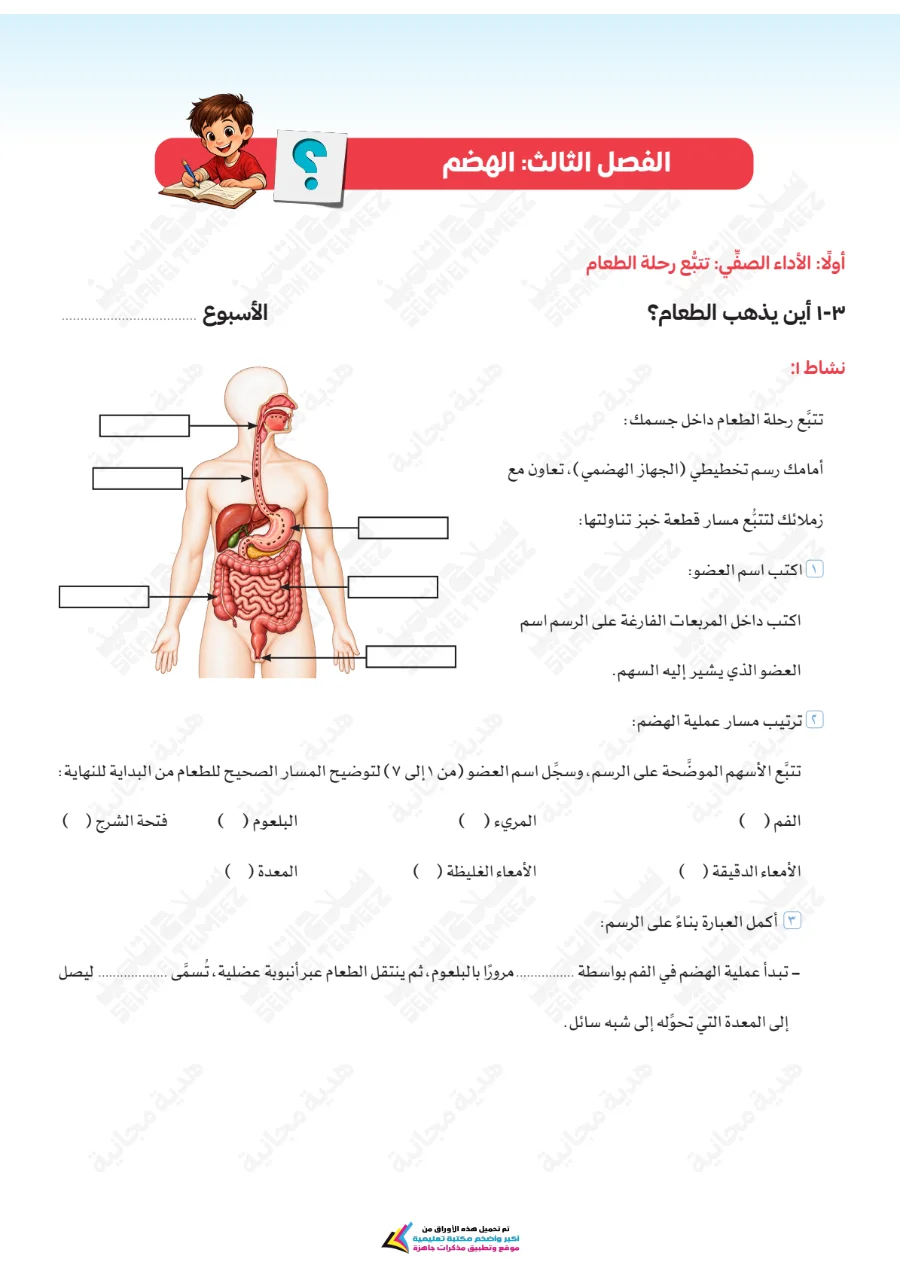معاينة الصفحة 13 من تقييمات سلاح التلميذ علوم للصف السادس الابتدائي الترم الاول PDF 2027 بالاجابات
