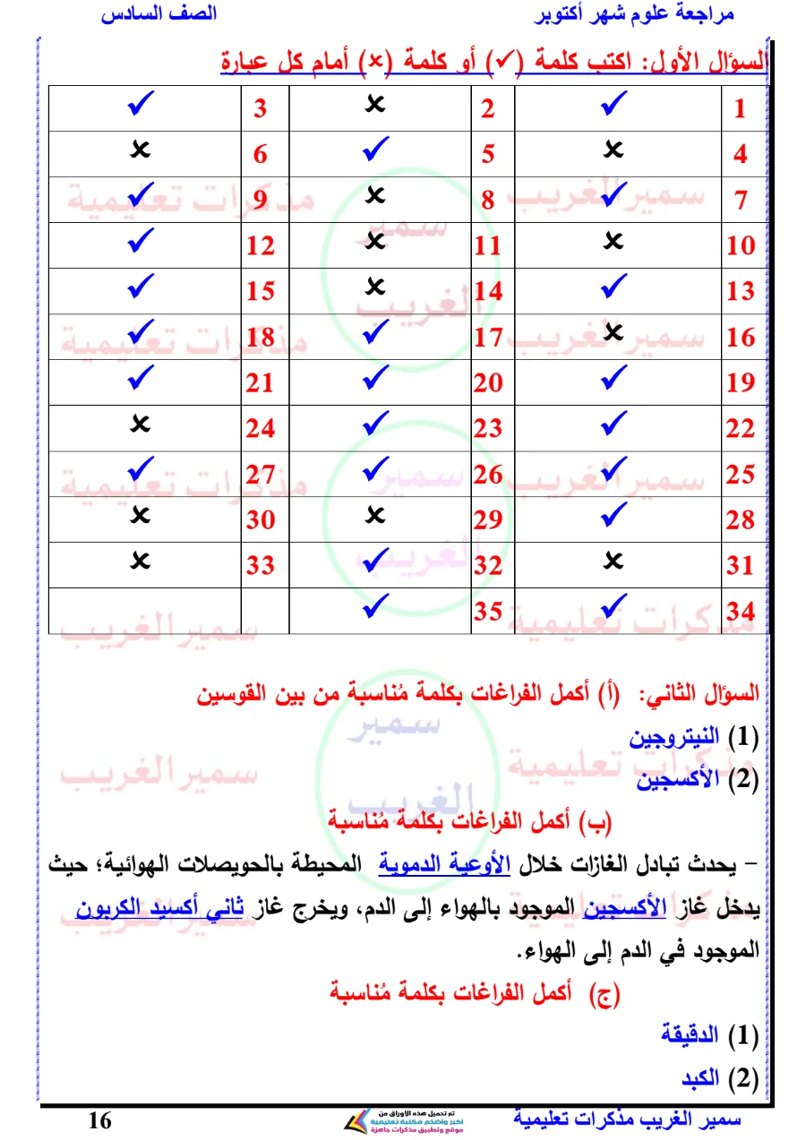 معاينة الصفحة 16 من بالاجابات مراجعة علوم شهر أكتوبر للصف السادس الابتدائي PDF 2027