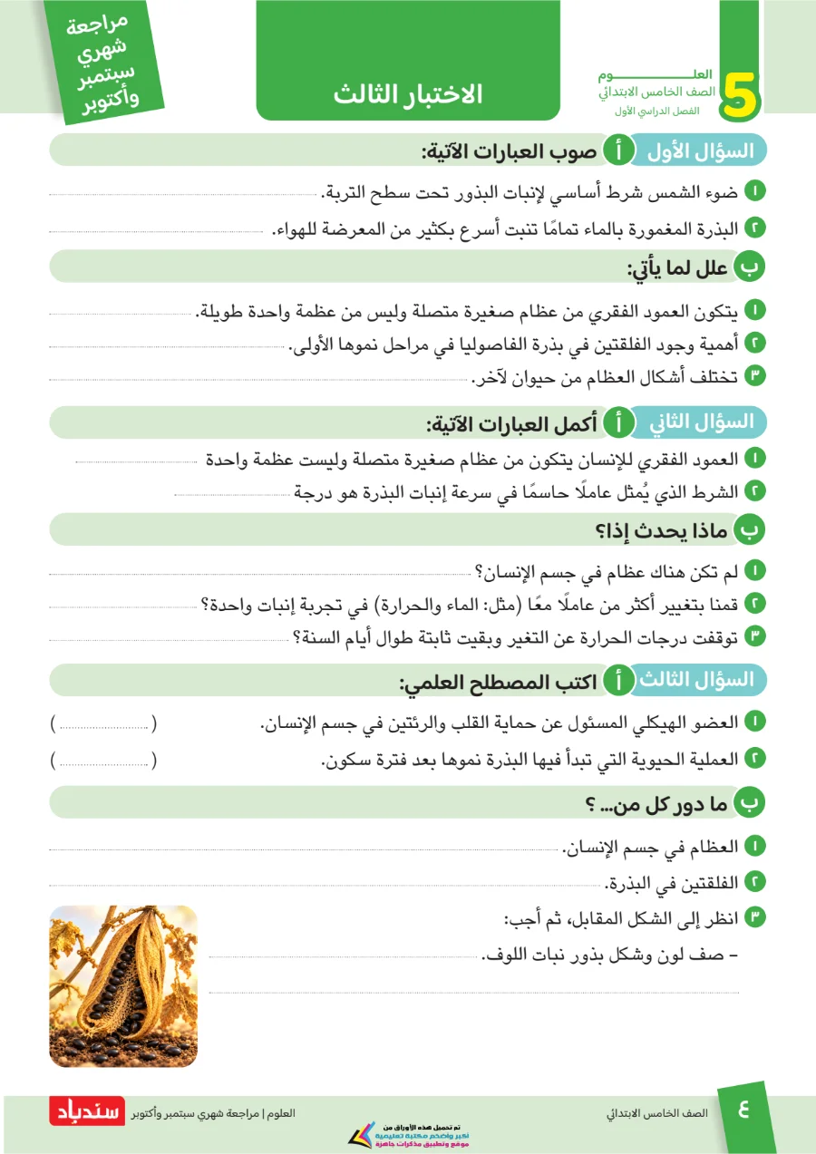 معاينة الصفحة 4 من مراجعة سندباد شهر اكتوبر علوم الصف الخامس الابتدائي بالاجابات 2027 PDF