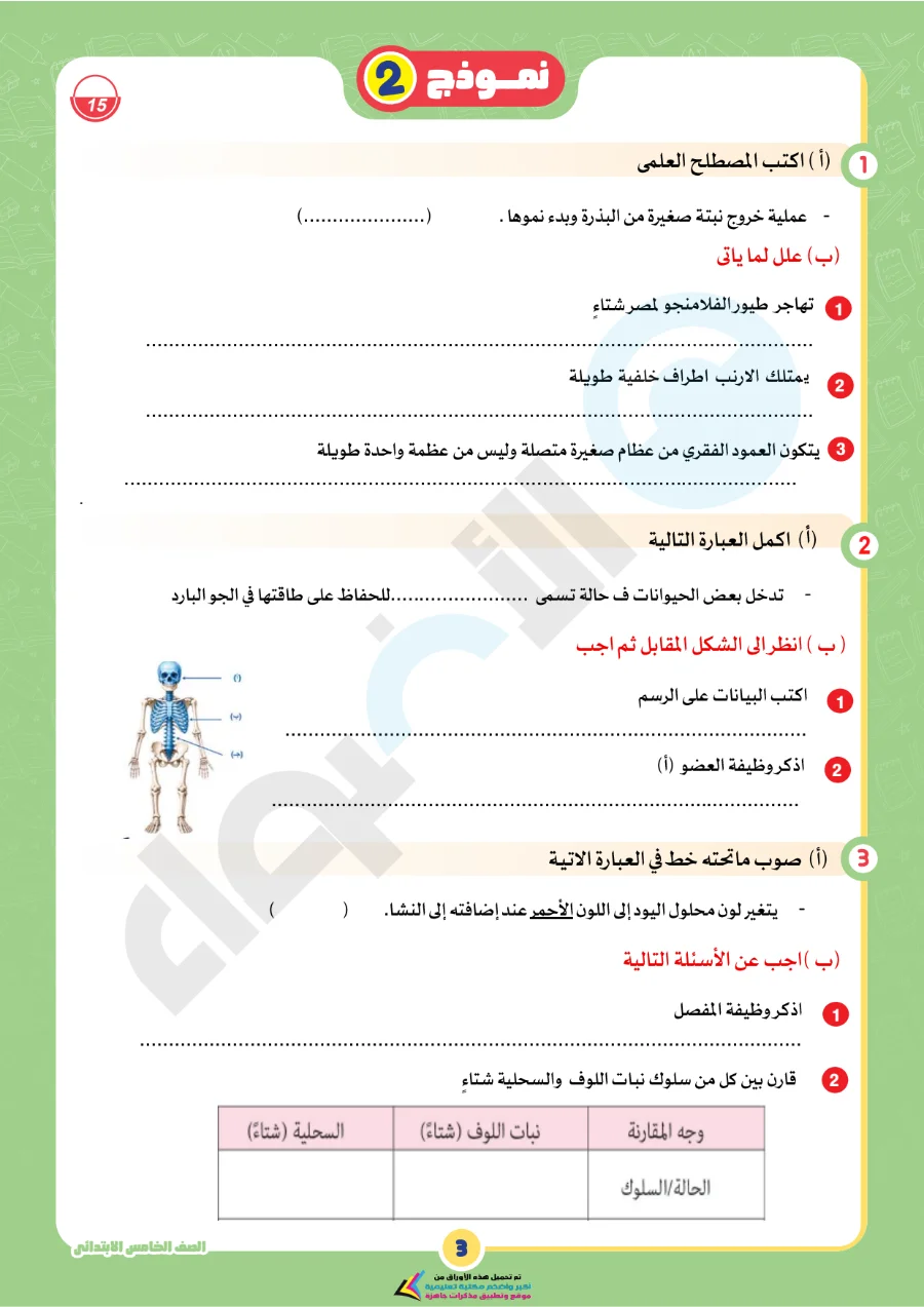 معاينة الصفحة 3 من بالاجابات امتحانات شهر اكتوبر علوم للصف الخامس الابتدائي PDF 2027 نماذج الأضواء
