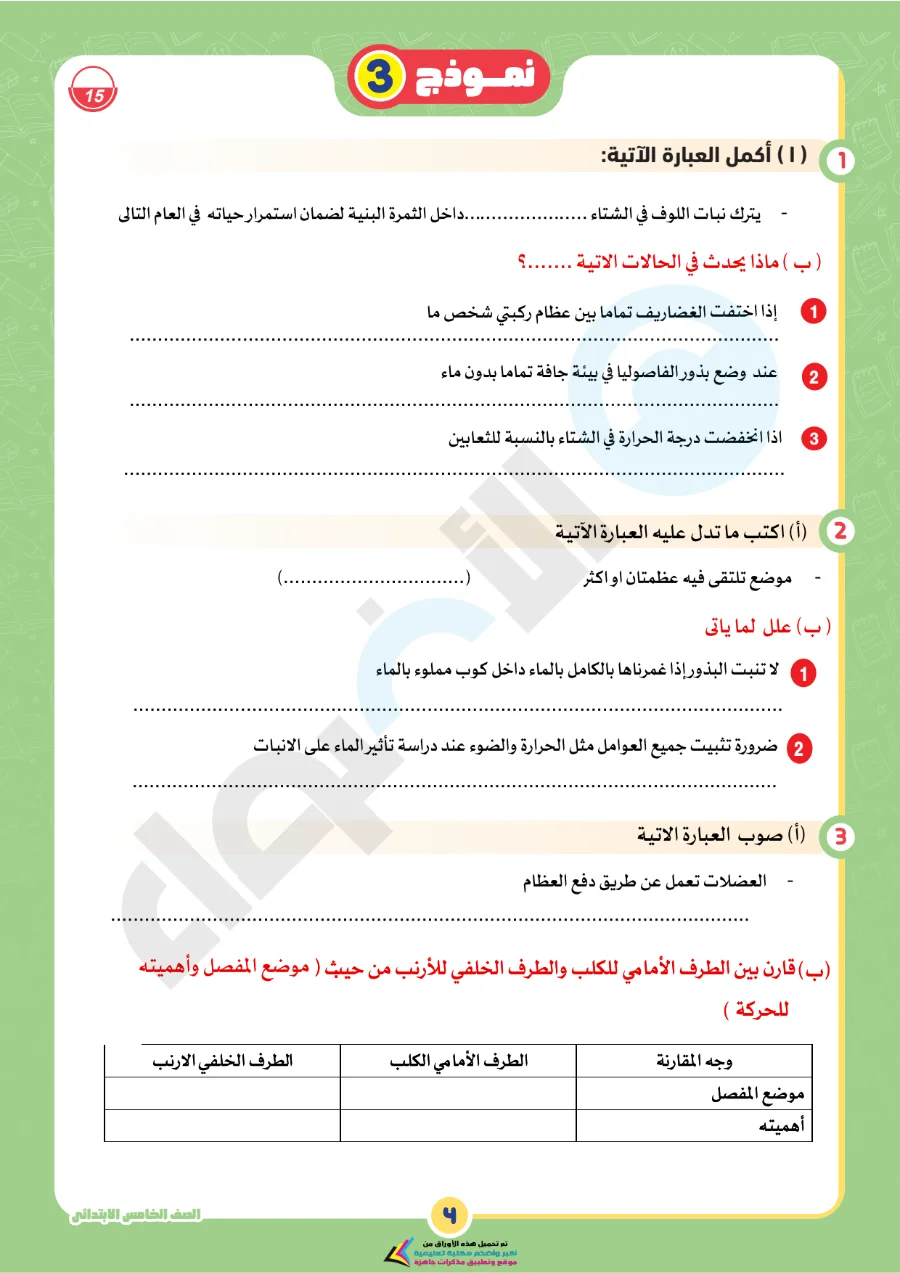 معاينة الصفحة 4 من بالاجابات امتحانات شهر اكتوبر علوم للصف الخامس الابتدائي PDF 2027 نماذج الأضواء