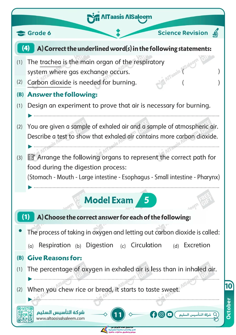 معاينة الصفحة 11 من مراجعة Science لشهر اكتوبر بالاجابات الصف السادس الابتدائي PDF 2027