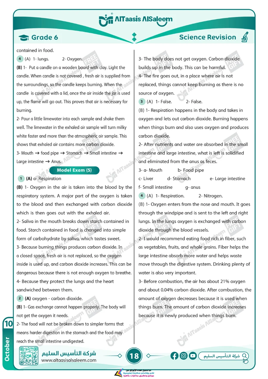 معاينة الصفحة 18 من مراجعة Science لشهر اكتوبر بالاجابات الصف السادس الابتدائي PDF 2027