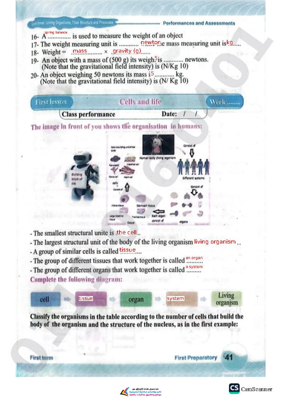 معاينة الصفحة 40 من حل كتاب التقييمات Science للصف الاول الاعدادي الترم الاول PDF 2027
