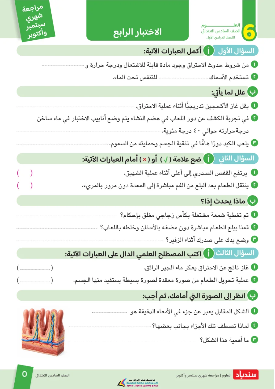 معاينة الصفحة 5 من مراجعة سندباد شهر اكتوبر علوم الصف السادس الابتدائي بالاجابات 2027 PDF