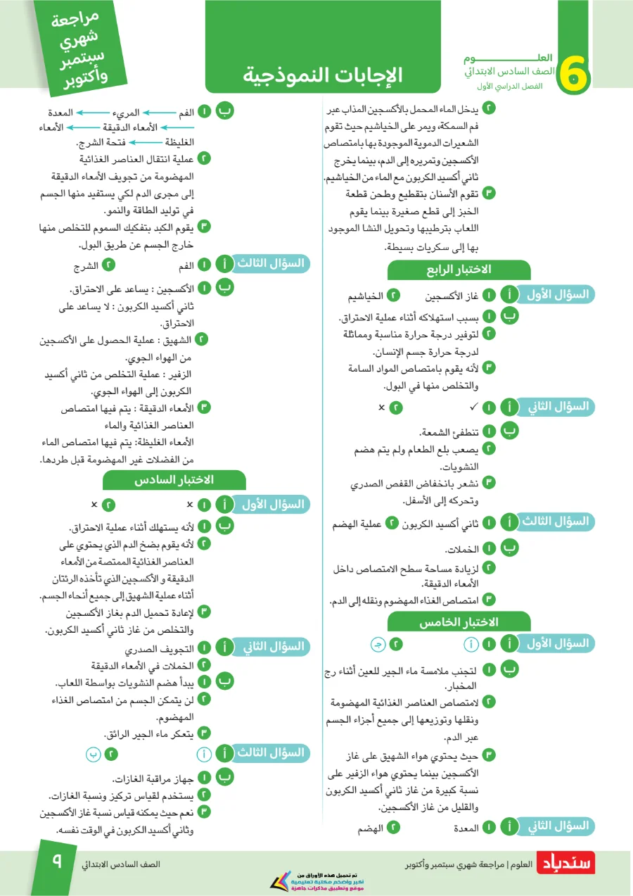معاينة الصفحة 9 من مراجعة سندباد شهر اكتوبر علوم الصف السادس الابتدائي بالاجابات 2027 PDF