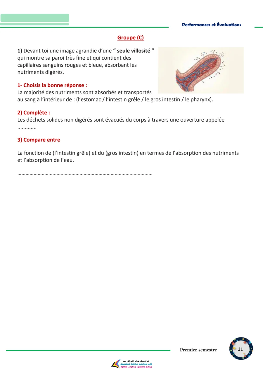 معاينة الصفحة 21 من تحميل كتاب التقييمات Science بالفرنساوي للصف السادس الابتدائي الترم الاول PDF 2027