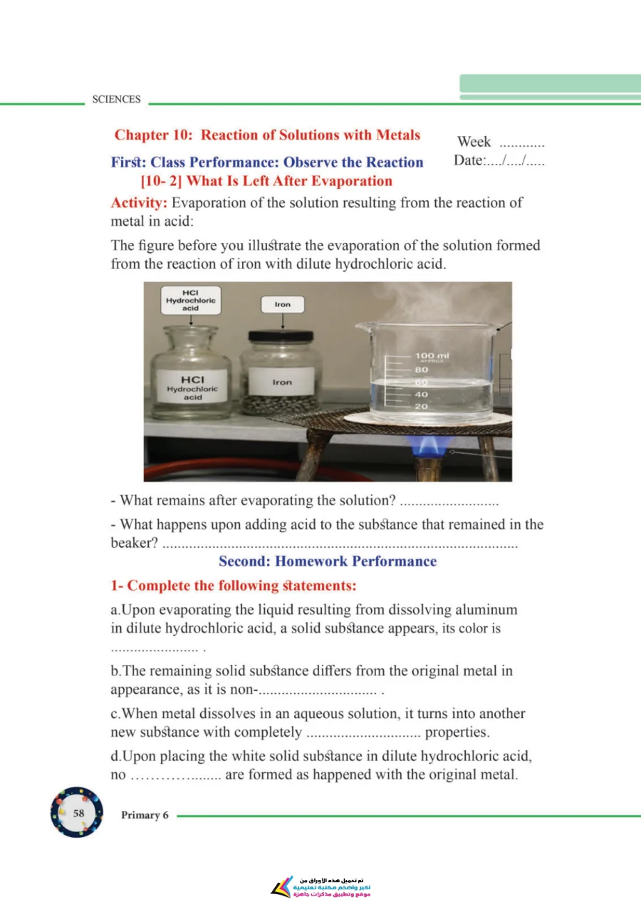 معاينة الصفحة 58 من تحميل كتاب التقييمات Science للصف السادس الابتدائي الترم الاول PDF 2027