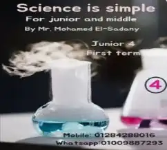 مستر محمد السعدني