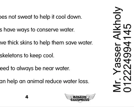 مستر ياسر الخولي