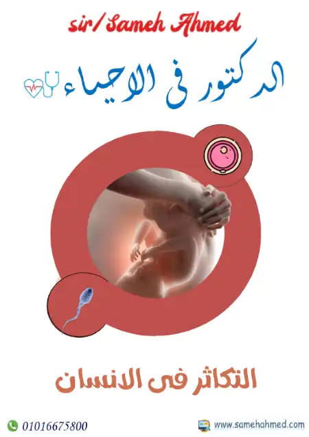 أفضل شرح لباب التكاثر في الانسان احياء للصف الثالث الثانوي