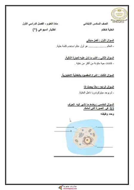 الاختبار الاسبوعي الاسبوع الثاني علوم سادسة ابتدائي ترم اول 2025