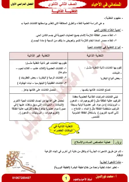مذكرة احياء للصف الثاني الثانوي مستر محمد نور الدين PDF