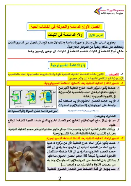 مذكرة الحوت في احياء تالتة ثانوي