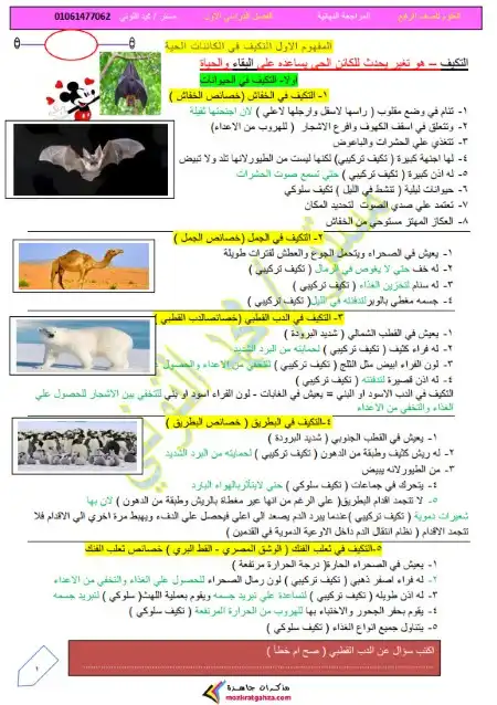 مراجعة وملخص العلوم 4 ابتدائي ترم اول 2024 مستر محمد التوني